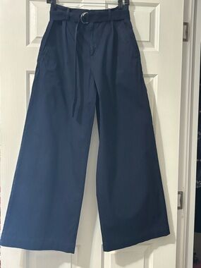 Everlane Navy Wide-Leg Belted Pants